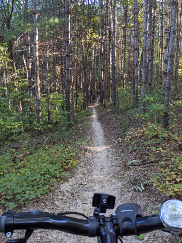 Biking down a tree filled mountain trail.